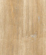 WOODLAND OAK