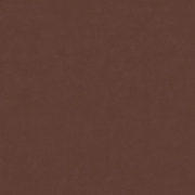 EM6607-Maxima-Moka