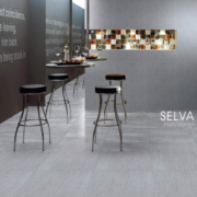 selva-matt-rough